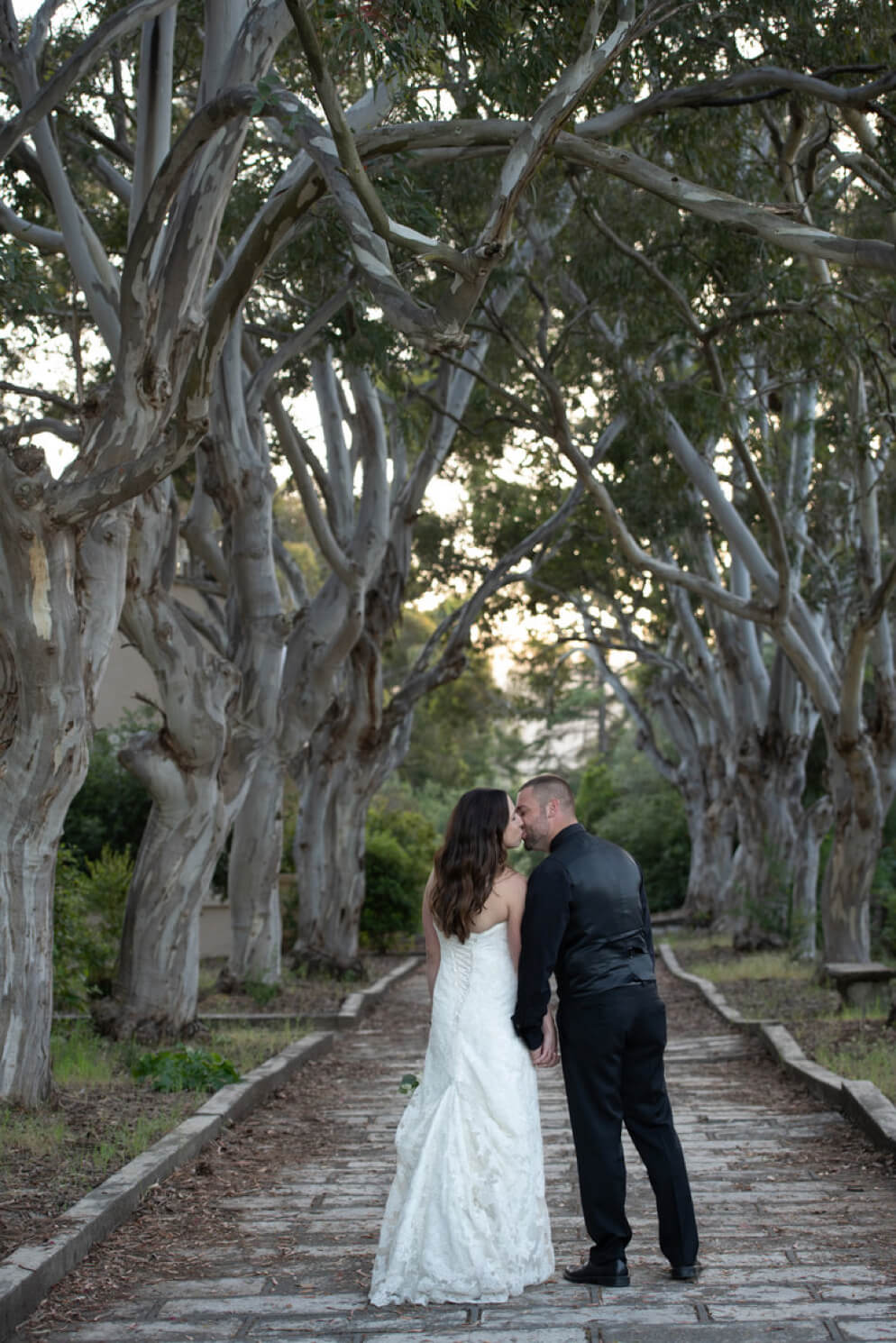Couple kisses under trees on their wedding day.